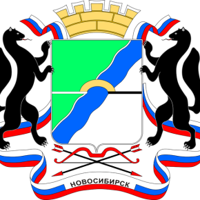 Министерство труда и социального развития Новосибирской области