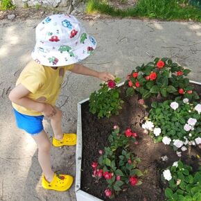Подопечные отделения «Мать и дитя» ухаживают за садом и огородом